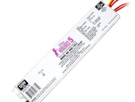 UV Ballast for Operation of two G36T5 4P SE Germicidal UV Light Bulbs - Online now