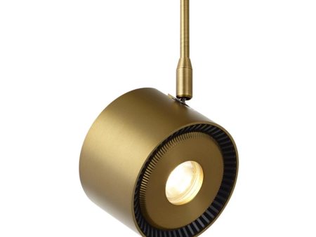 12 In. Stem Iso LED Monorail Head 16W 3000K 704 Lumens 20-degree Beam Angle Brass finish on Sale