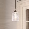 Winslow 8  1-Light Mini Pendant Light, Brushed Nickel Finish For Sale