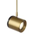 6 In. Stem Burk LED Monorail Head 14W 2700K 634 Lumens 18-degree Beam Angle Brass finish on Sale