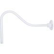 R Series 23 in. Goose Neck for Wall Mount White Finish Fashion