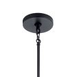 Armand 19 in. 4 Lights Pendant Light Black Finish Hot on Sale