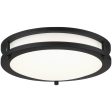 12 in. LED Flush Mount Disk Light Black finish For Sale