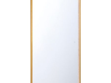 Cerissa 54 In. X 32 In. LED Wall Mirror Selectable CCT Gold Finish For Cheap