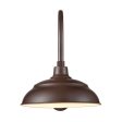 R Series 14 in. LED Bronze Outdoor Warehouse Shade with 3 4 in. Fitter Online