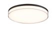 13 In. LED Flush Mount Light Black Finish For Sale