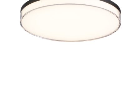 13 In. LED Flush Mount Light Black Finish For Sale