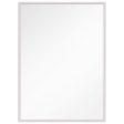 Kit 24 In. X 36 In. Polished Nickel Wall Mirror Fashion