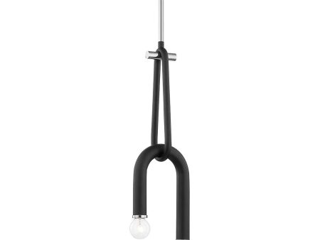 Whit 7 in. 2 Lights Pendant Light Polished Nickel & Black Finish Cheap