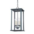 ZUMA 10 in. 4 Lights Outdoor Pendant Light Gray Finish Fashion