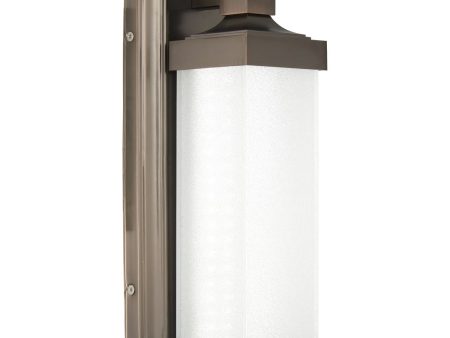 13 in. LED Wall Light Bronze finish For Sale