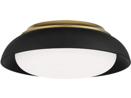 15 in. LED Flush Mount Light Black finish Hot on Sale