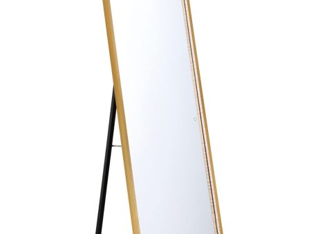 Cerissa 65 In. X 24 In. LED Floor Mirror Selectable CCT Gold Finish For Cheap