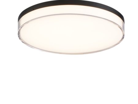 11 In. LED Flush Mount Light Black Finish For Sale